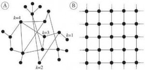 ball networks