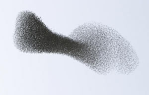 Swarm Theory