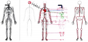 131009 body network diagram 2d hand annotation